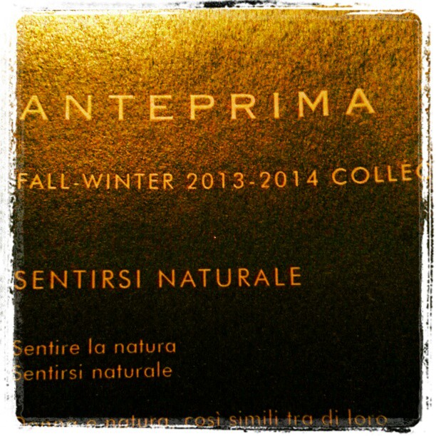 Anteprima Fashion Show grazie ad @attilaco ed @anteprima_world