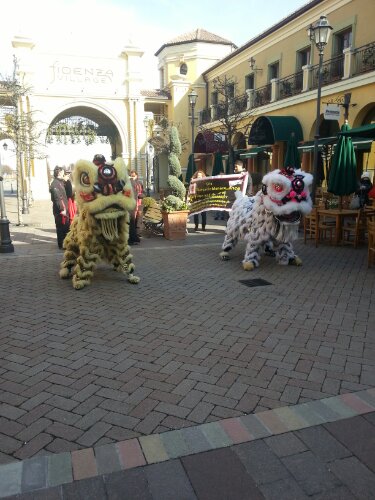 20130209_120254.jpg image