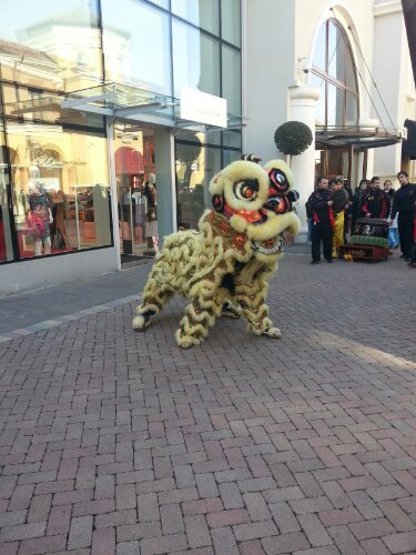20130209_121301.jpg image