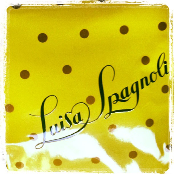 Presentazione Luisa Spagnoli