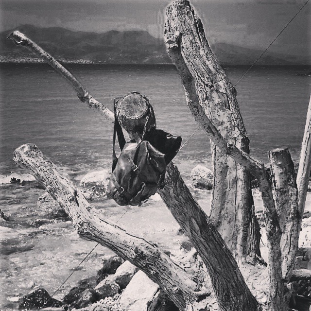 aMarCortese su www.fashionancien.com